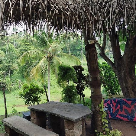 Joseph Dale Homestay Varkala Dış mekan fotoğraf