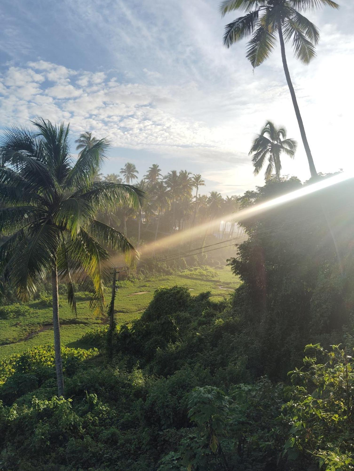 Joseph Dale Homestay Varkala Dış mekan fotoğraf